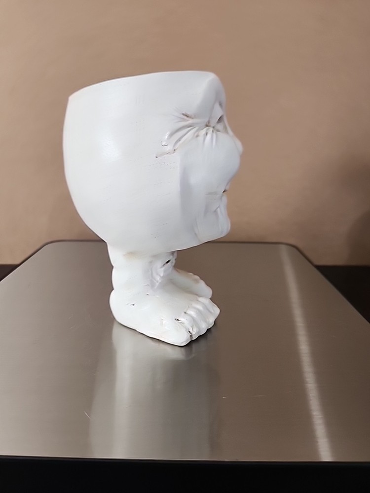 Funny Face Planter