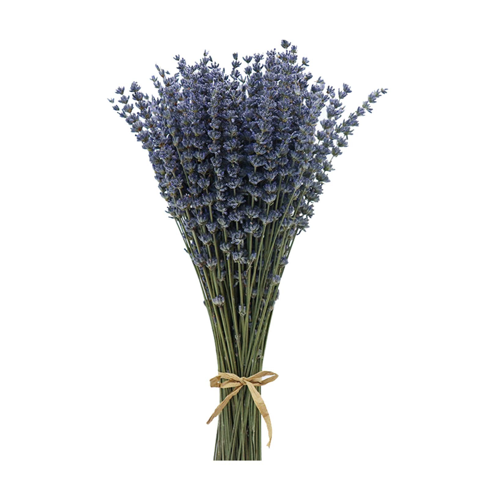 Dried Lavender Flowers Bundles 200 Stems Dry Lavender Bunch for Home 200+ stems