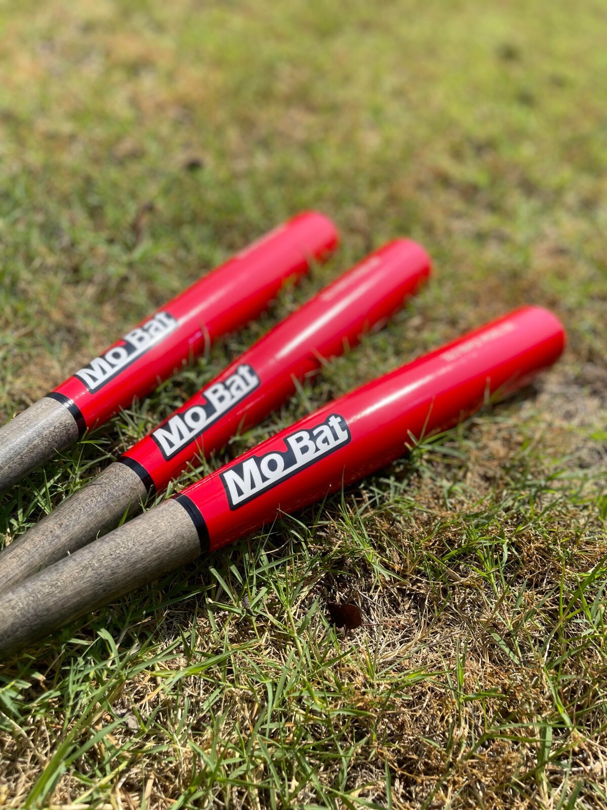 *Old Hickory Bat Co. Made* MoBat Co. Economy Label HARD MAPLE WOOD Baseball Bats