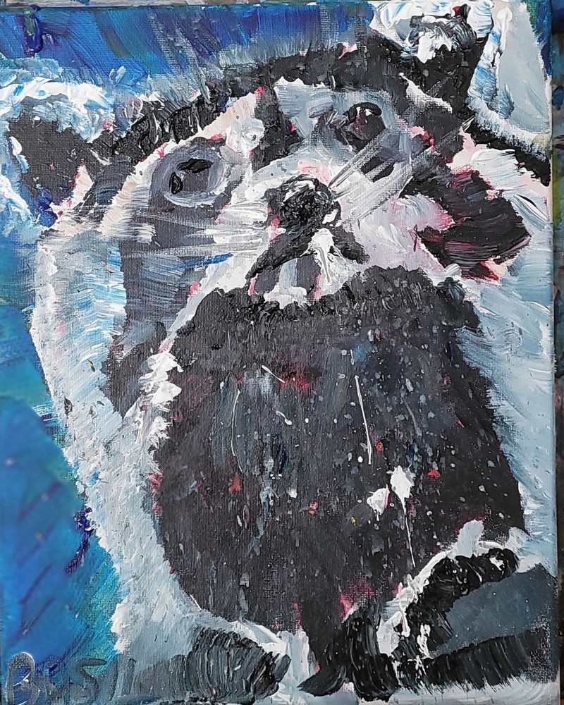 Raccoon Unique Abstract Expressionism Wall Art 11x14 Canvas