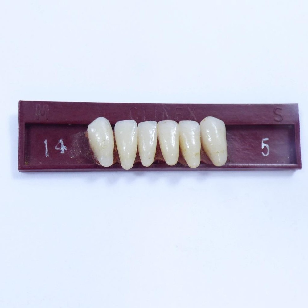 Antique DENTAL Dentist Sample, Vintage TEETH