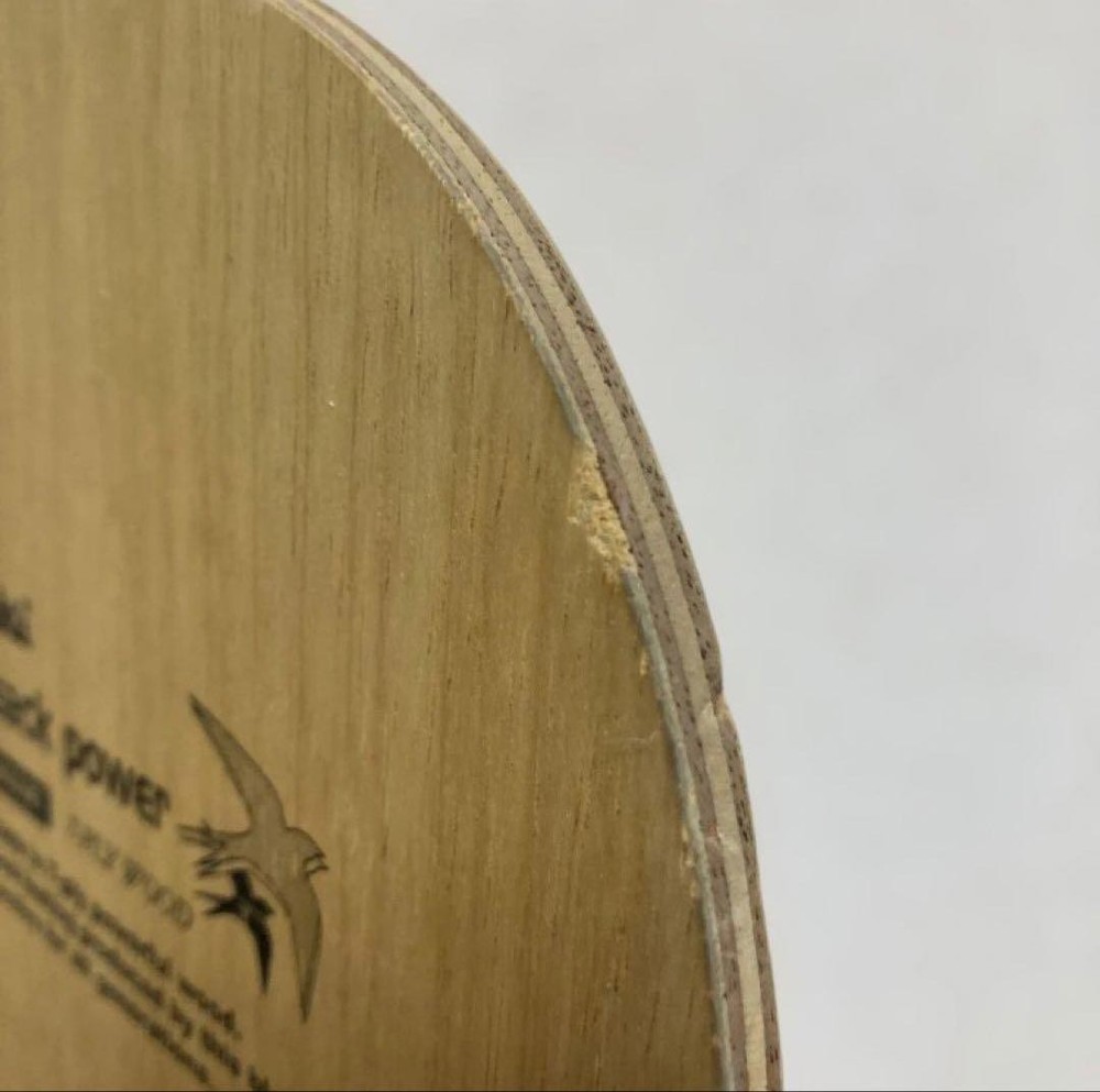 NittaKu Ludtrack power Racket With Case