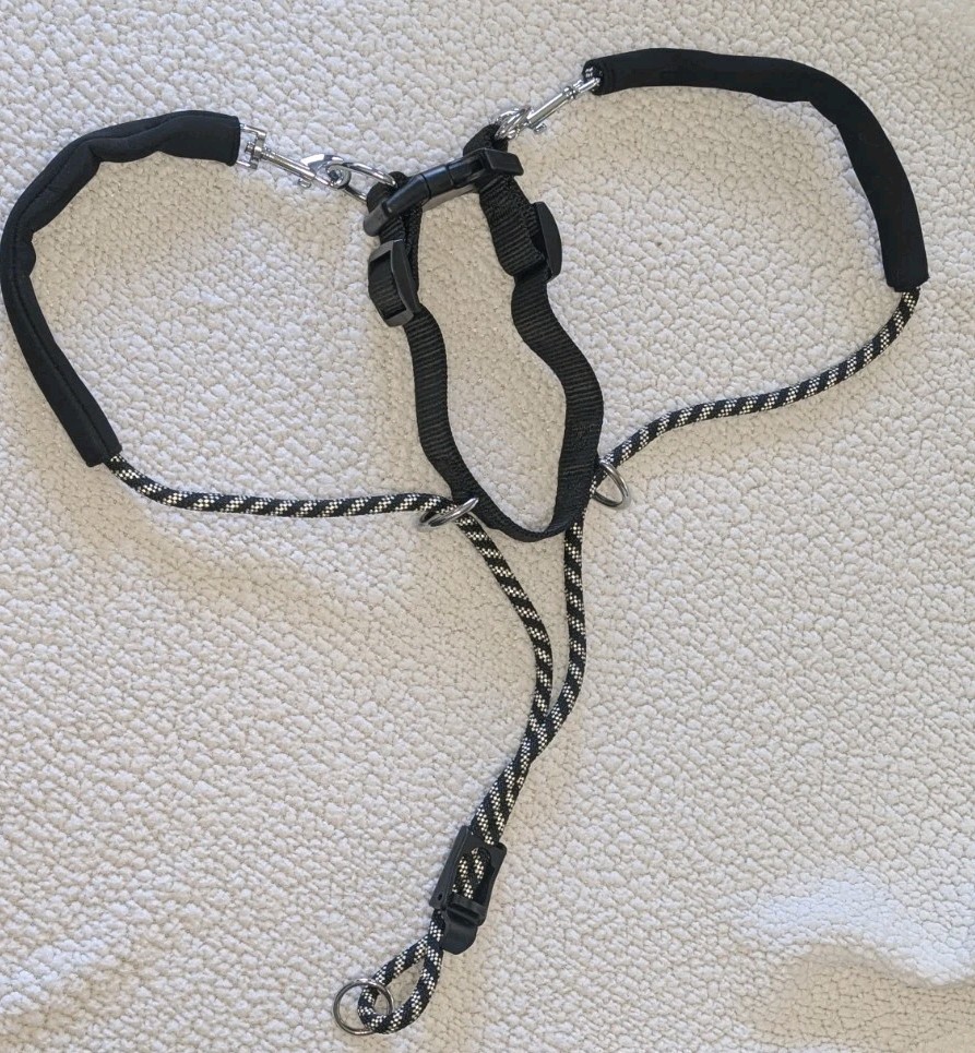 Dog Halter Great For Training Stops Pulling 14-19 Inch Neck Size Medium