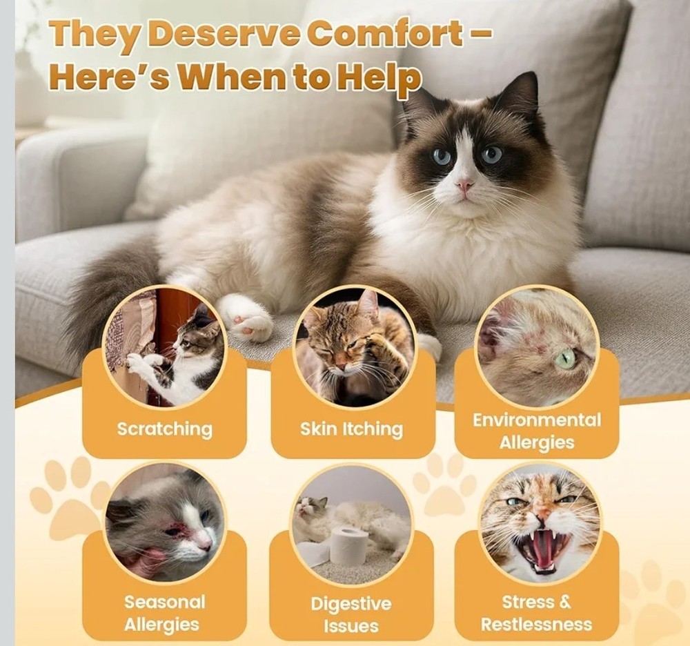 Cat Allergy Relief for Cats