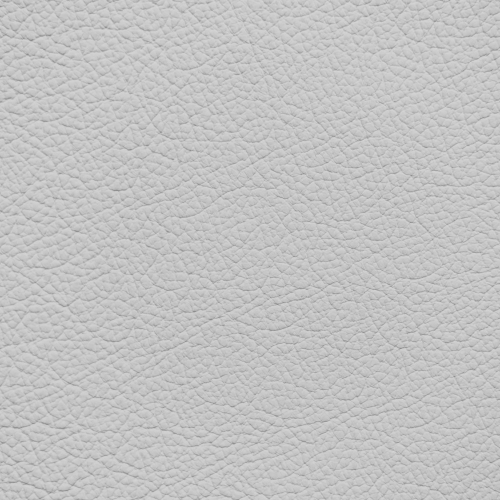 GM Very Light Titanium Leather Dye