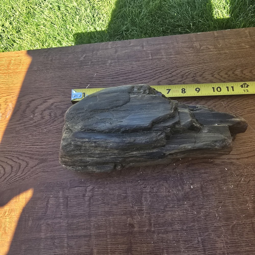 Petrified Wood