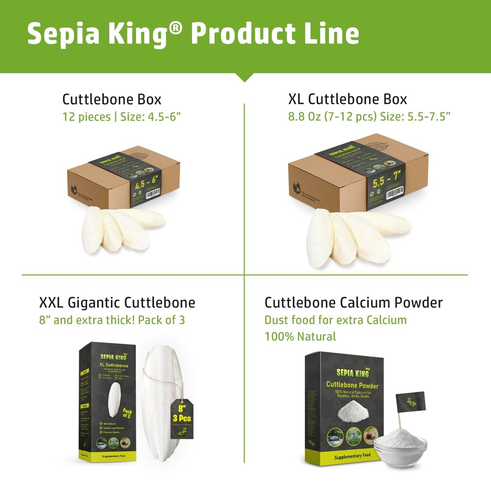 - Extra Large - 100% Natural Calcium Supplement - Premium Cuttlebone Perfect