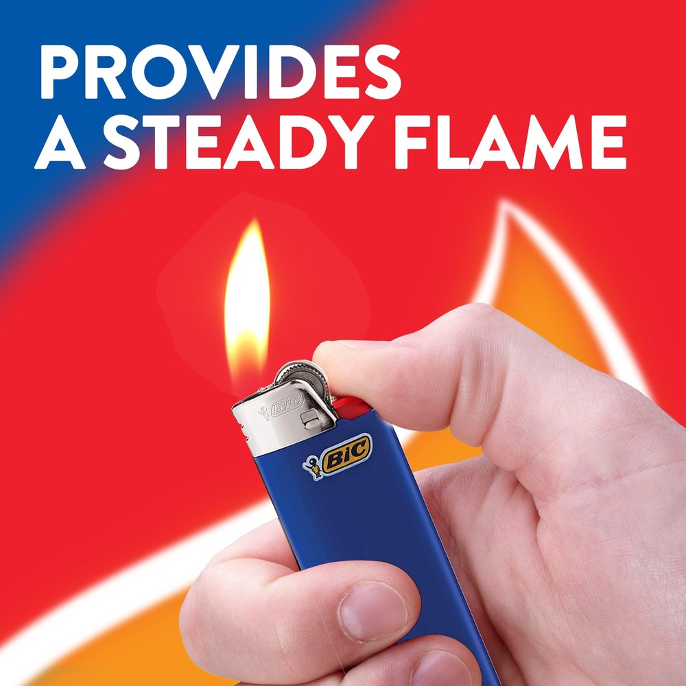 BIC Special Edition Whimsical Series Lighters, 8-Count
