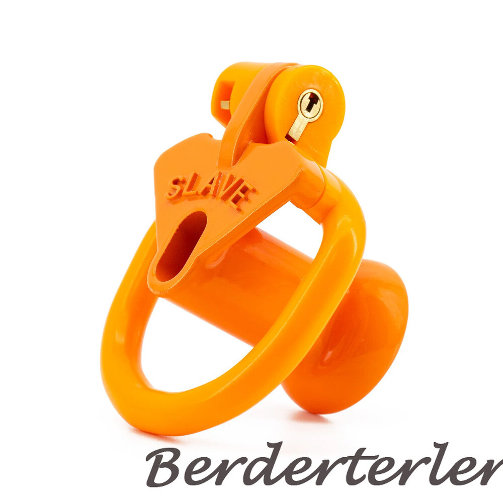 Sissy Positive/Negative Mini Chastity Cage Lock with Plug Slave 4 Sizes Rings