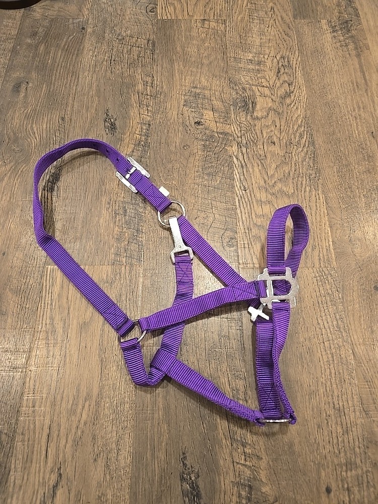 Horse Halter