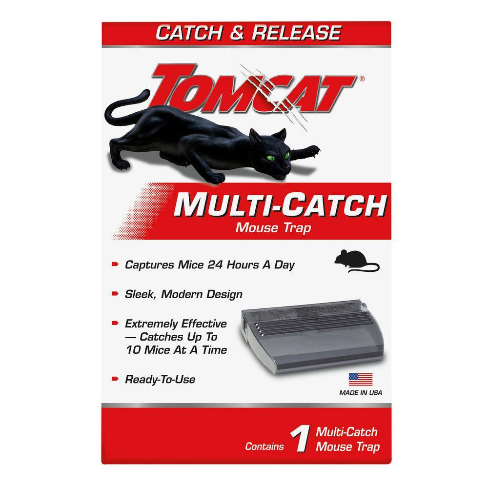 Multi-Catch Mouse Trap