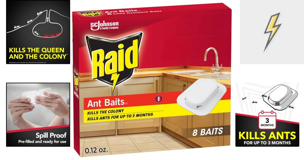Child-Resistant Raid Ant Killer Baits - 8 Count for Effective Indoor Use