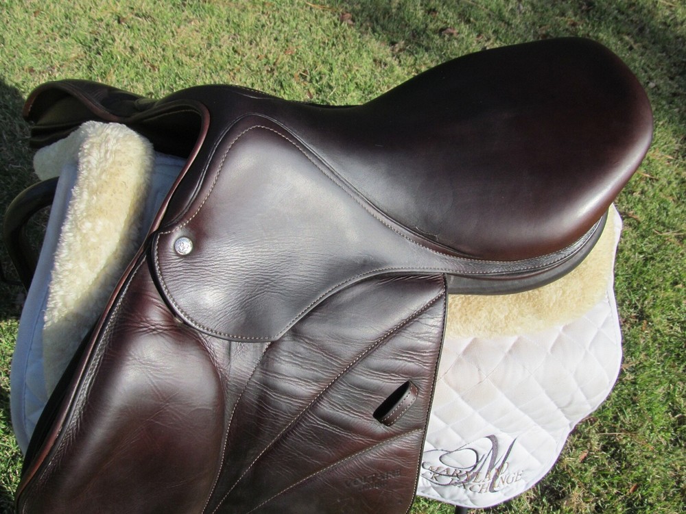 17.5" VOLTAIRE BLUE WING close contact jumping saddle-THIN FRONT PANEL 2017