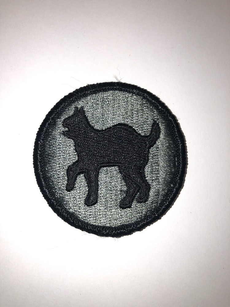 81st Infantry Division / RSC ACU U.S. Army Patch  With Hook Back