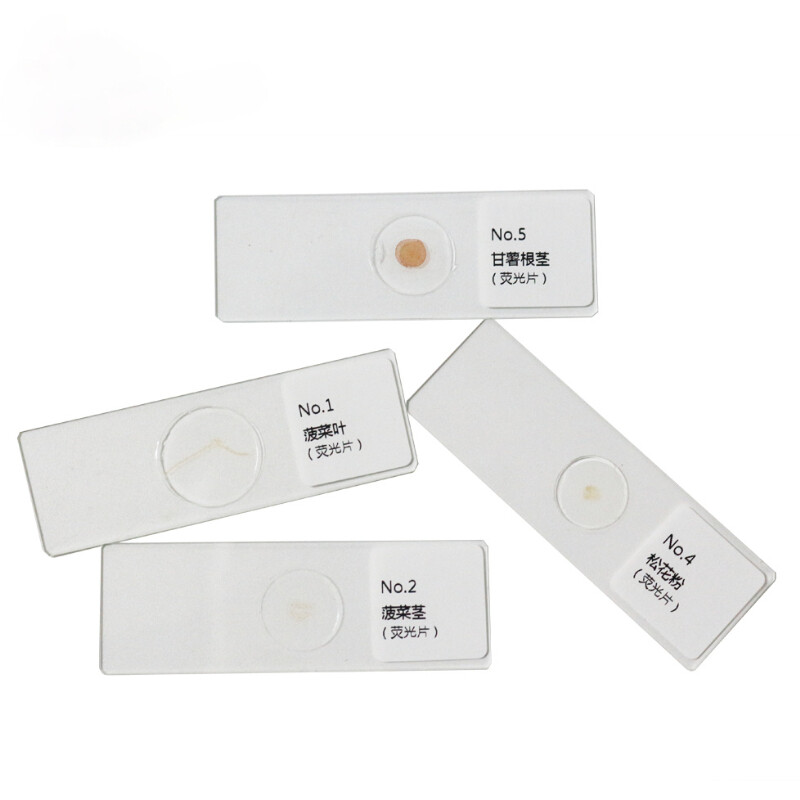 9 pcs Plant Fluorescence Microscope Sliced Spinach Leaf Potato Slice Specimen