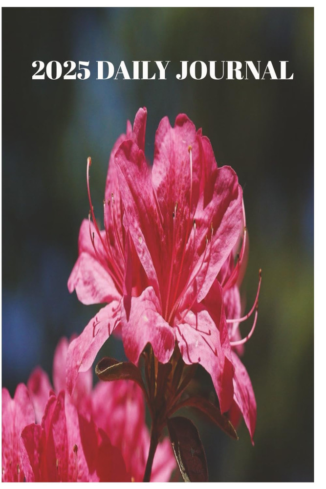 2025 Daily Journal