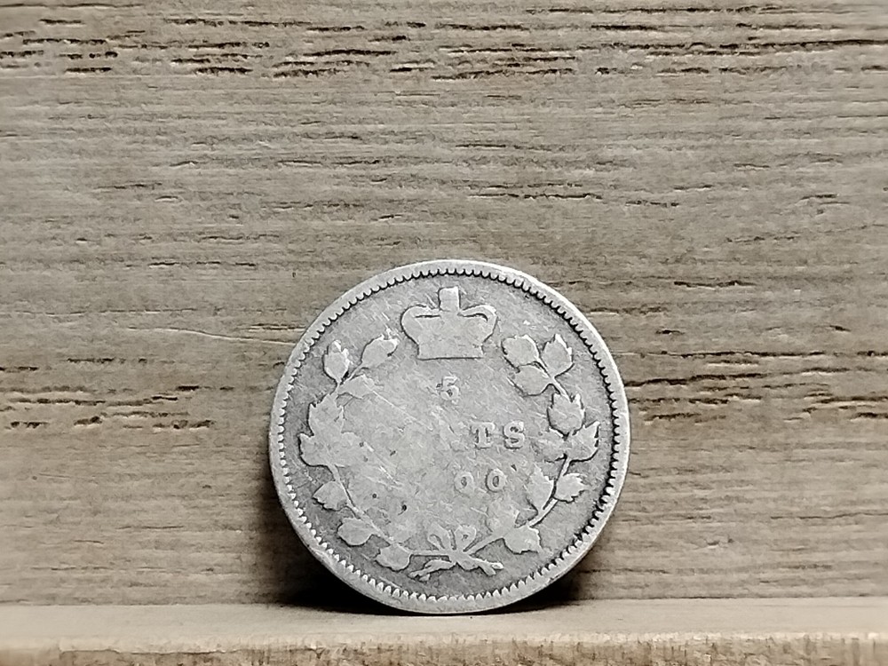 1900 5 Cents Canada Silver Coin (Victoria)