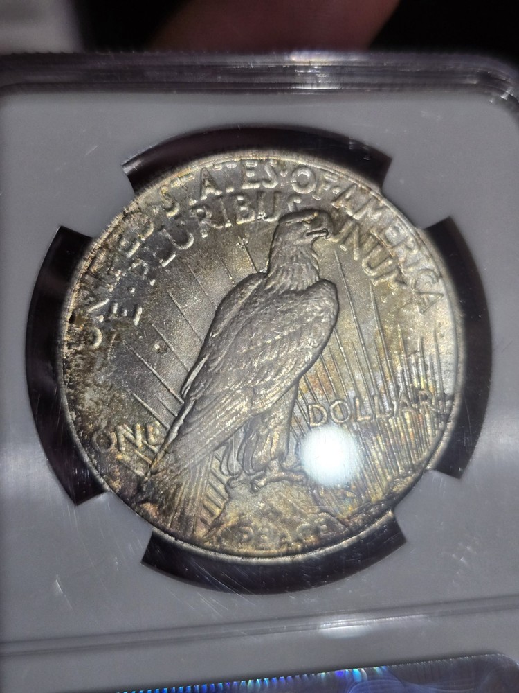 1925 Peace Dollar $1 Silver Coin NGC MS64 Toned