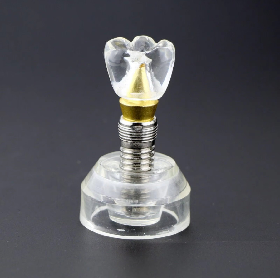 Dental Implant Model Demonstration Teeth Study Teach Models Detachable M2020