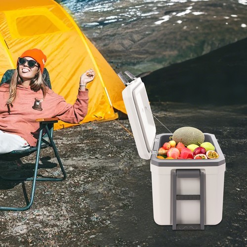 45L Insulated Wheeled Cooler with Pull Handle for Camping & Beach Activities