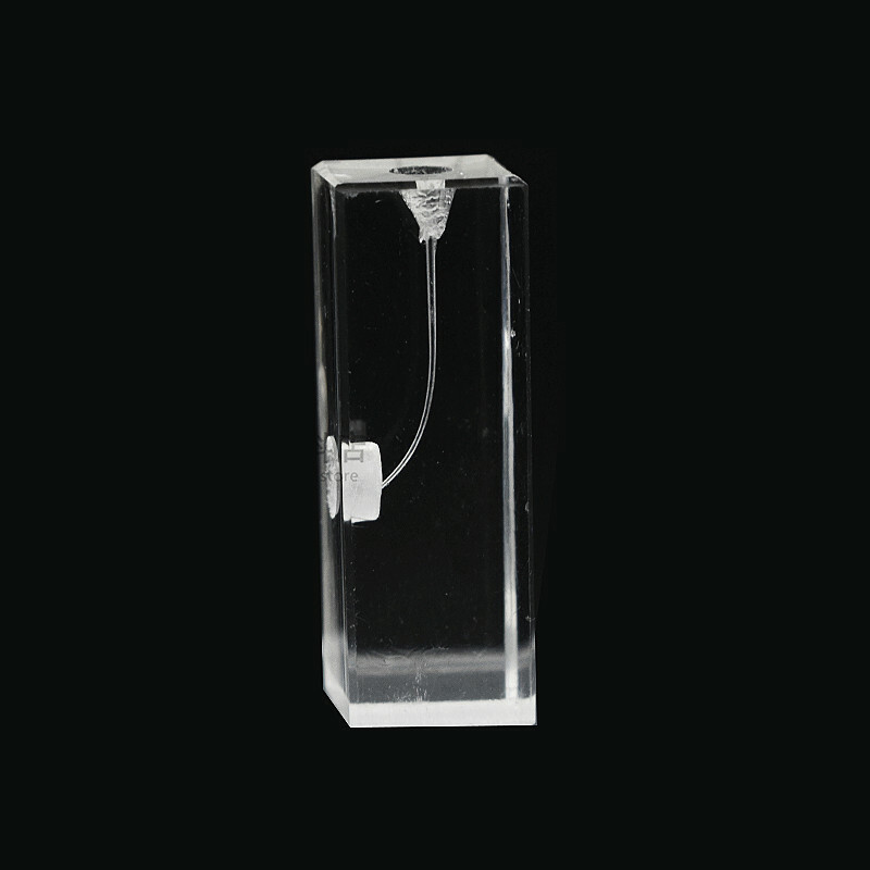 Dental Transparent Endo Training Blocks Root Canal Files Practice Tooth Model
