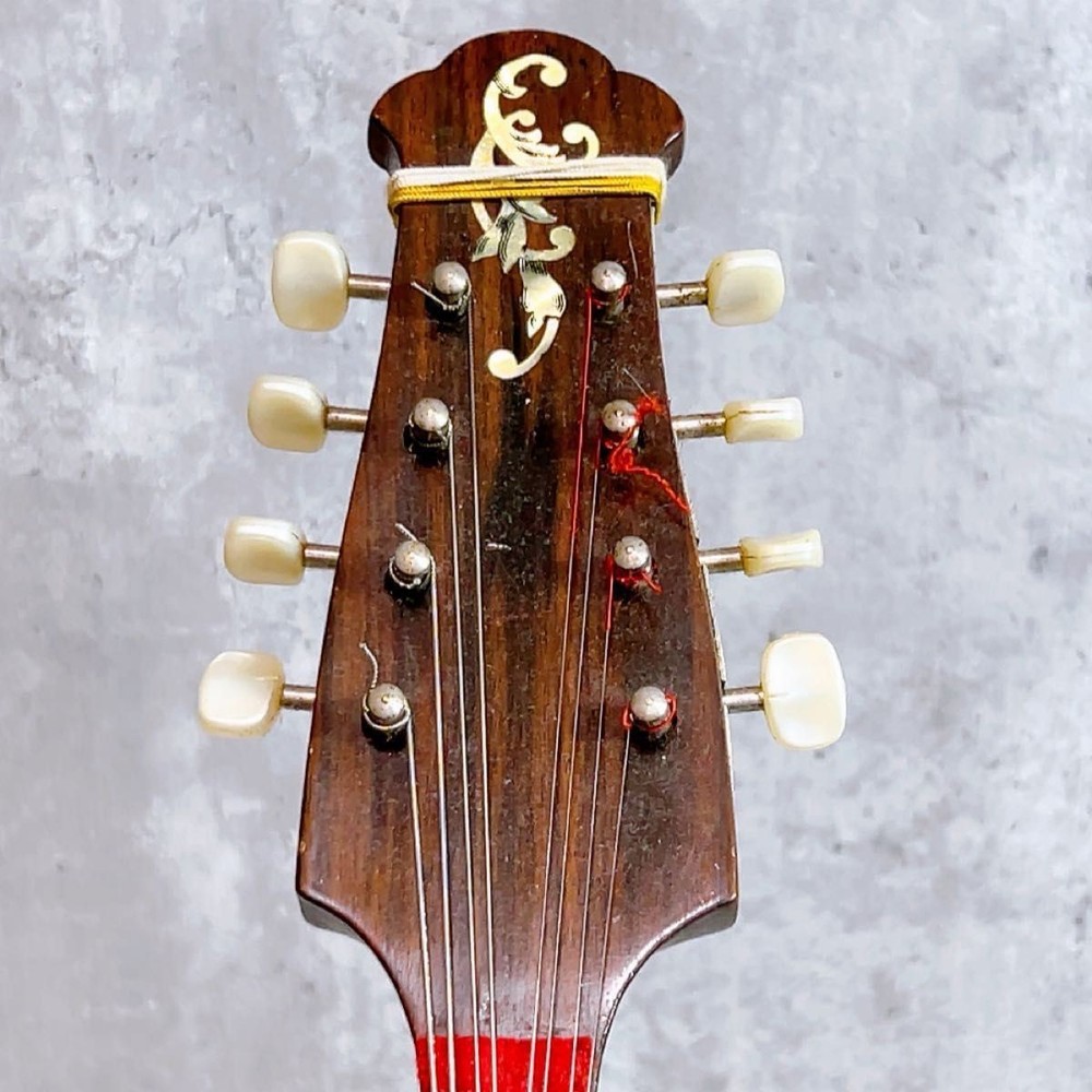 Rare! Raffaele Calace Mandolin No.16
