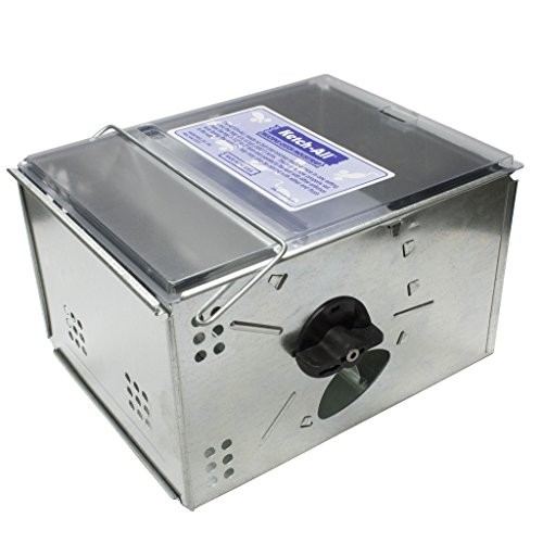 Mousetrap w/ Clear Lid