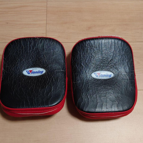 Winning Punching Mitts