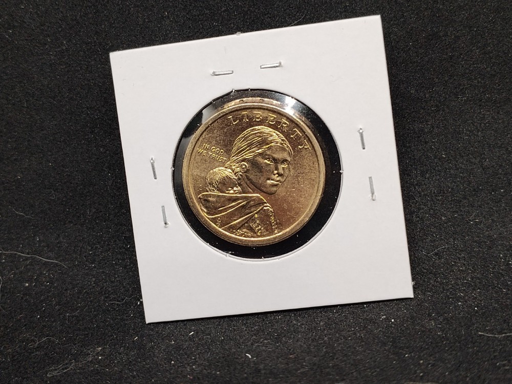 2013 P&D Native American Dollar