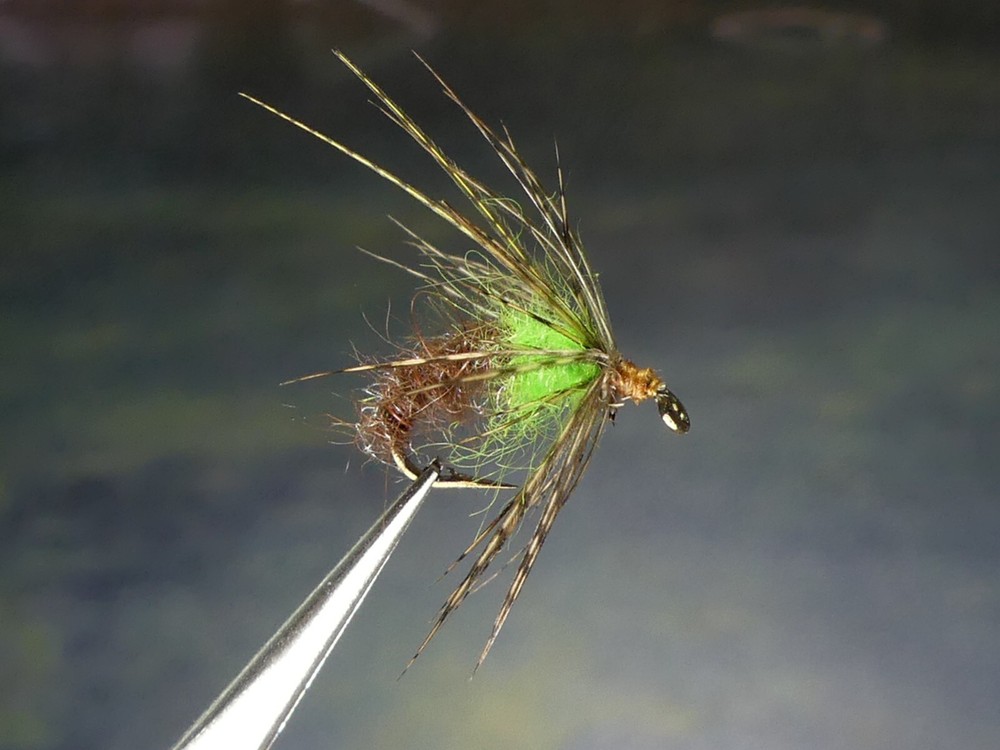 6 Flies - Grannom Contrast Larvae