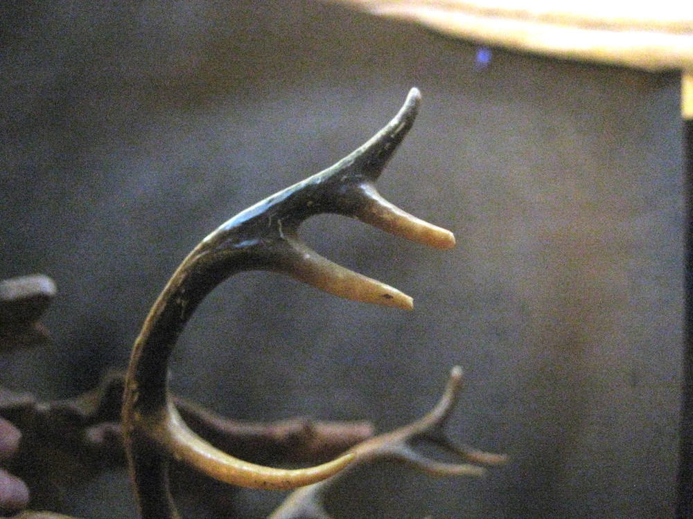 Black Forest Deer Head - Oak Leaves for Cuckoo Clock.