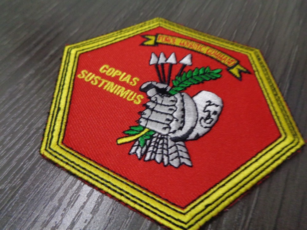 US MARINES MC Force Logistic Command MARINE COLOR PATCH NEW LARGE 4 INCH