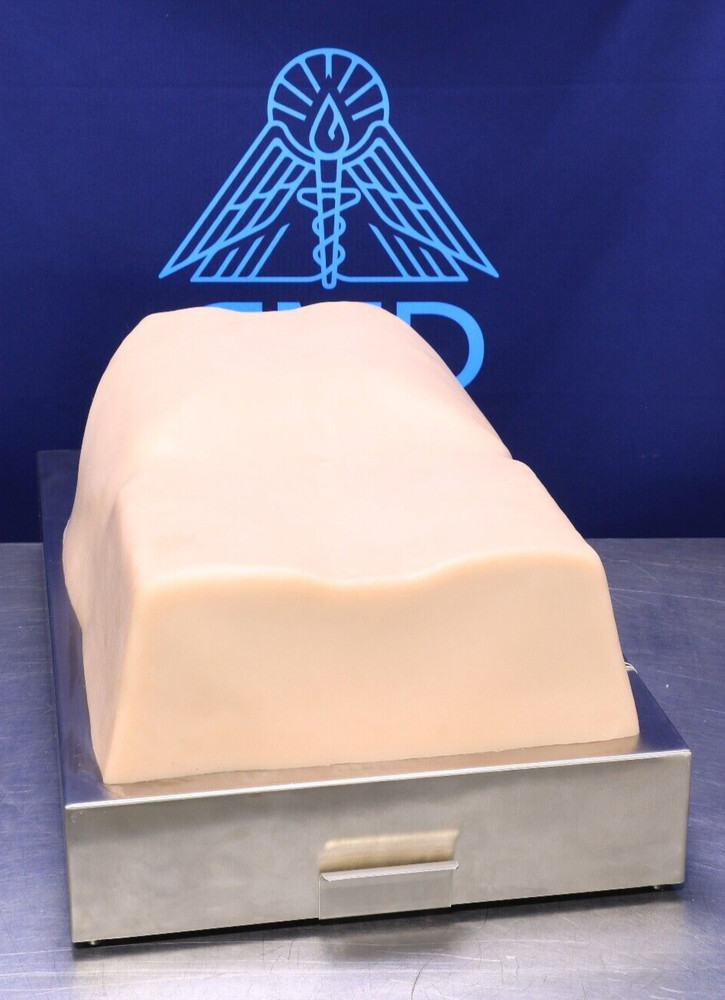 ACDET AbSim Model PT Abdominal Palpation Training Simulator