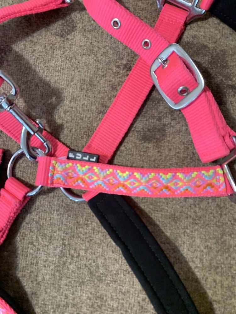 horse halter nylon Design