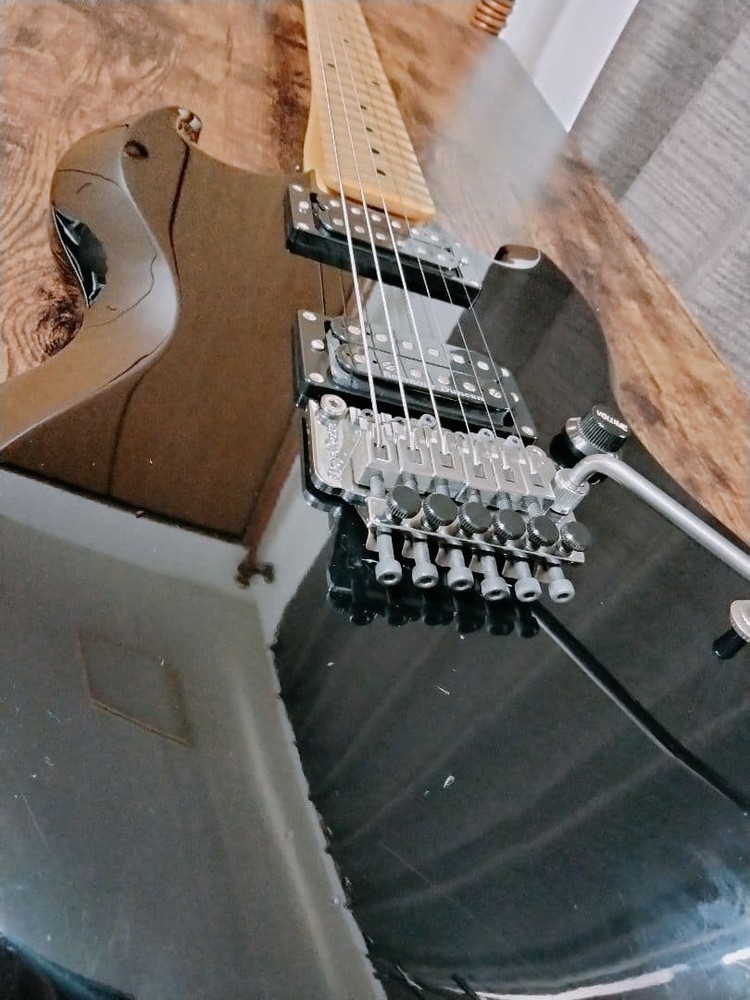 Edwards Electric Guitar Safe Packing!