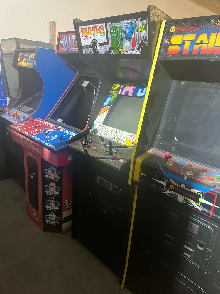 NINJA GAIDEN ARCADE MACHINE by TECMO (Excellent Condition) *RARE*