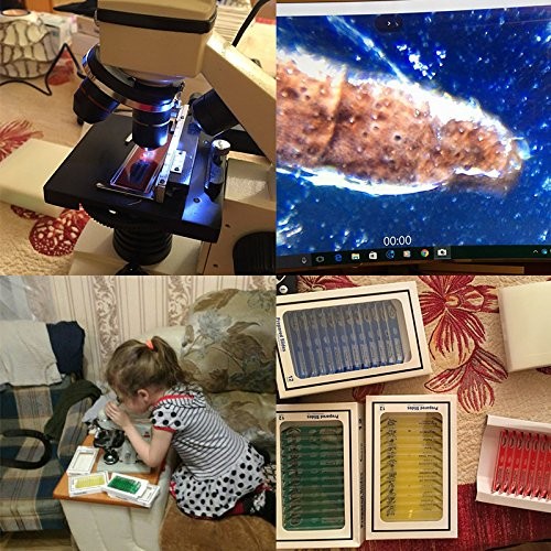 48 Pcs Prepared Microscope Slides Specimen Animals Insects Plants Flowers Sample