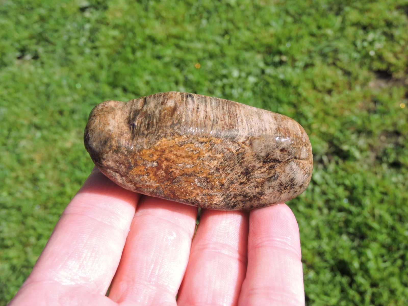 Lot of 🌈 Tumbler Size RAINBOW MIXED STONES from PNW (11.5 lbs) WEST COAST ROCKS