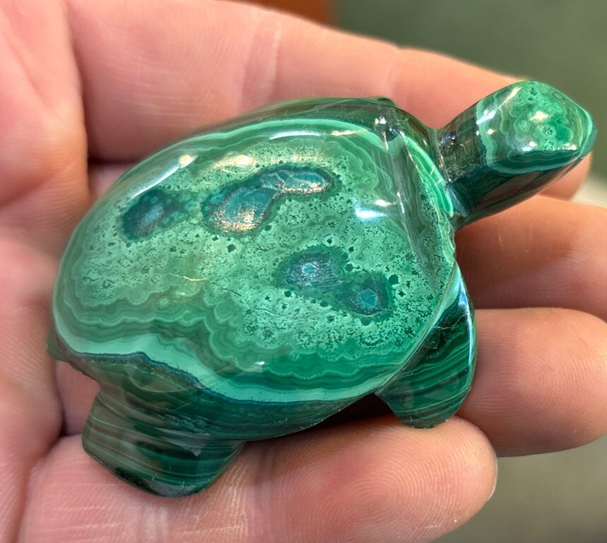 2” Malachite Turtle