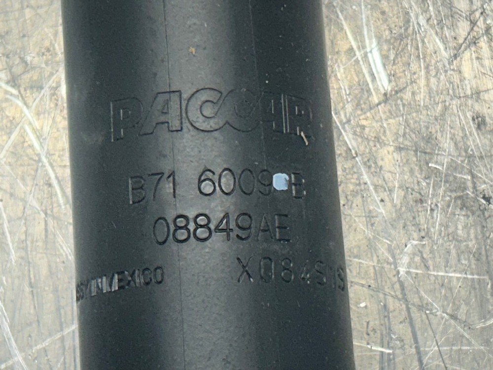 ABSORBER-SHOCK OE B71-6009