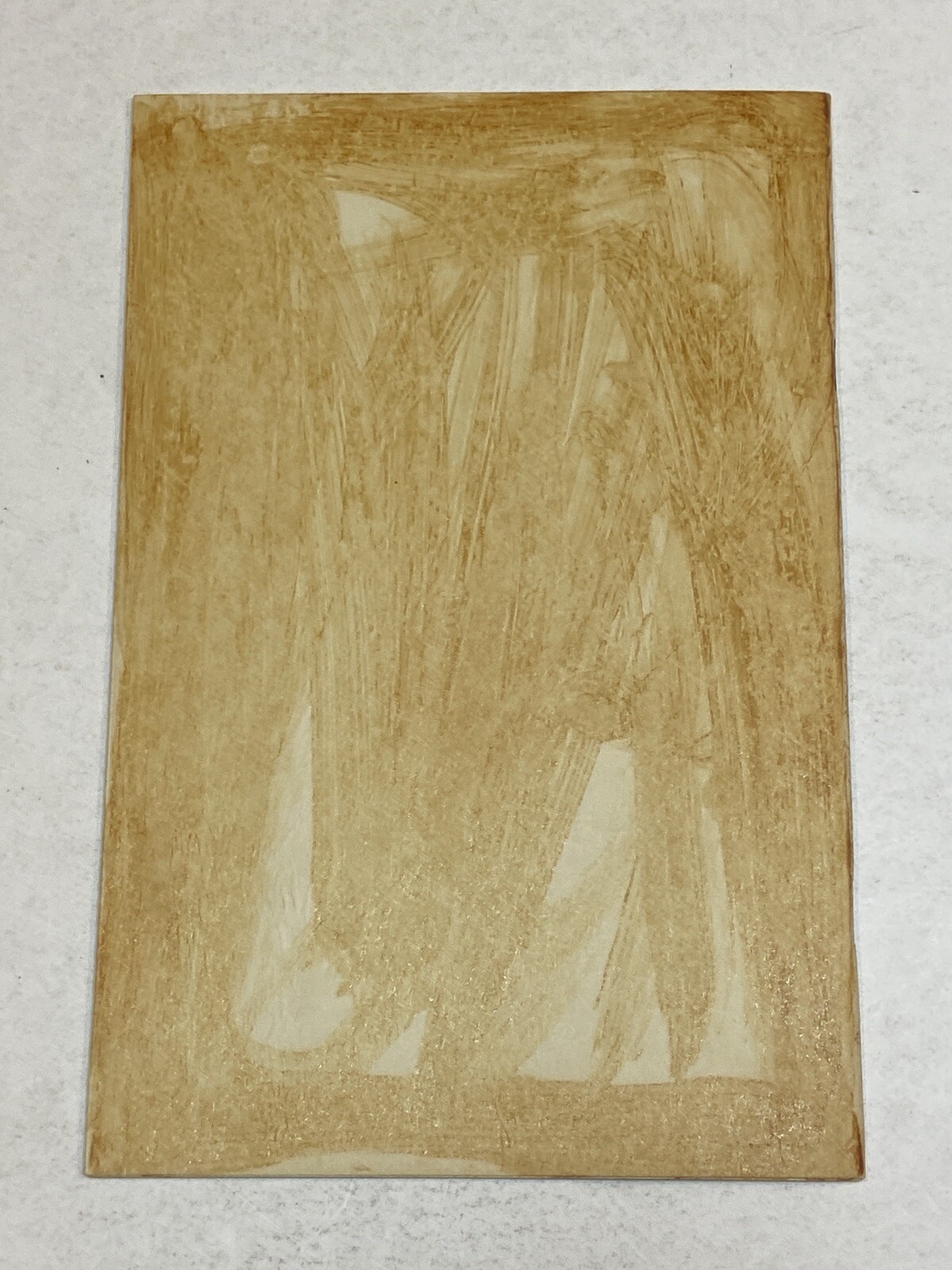 UDC United Daughters of the Confederacy 1960 Convention Program North Carolina