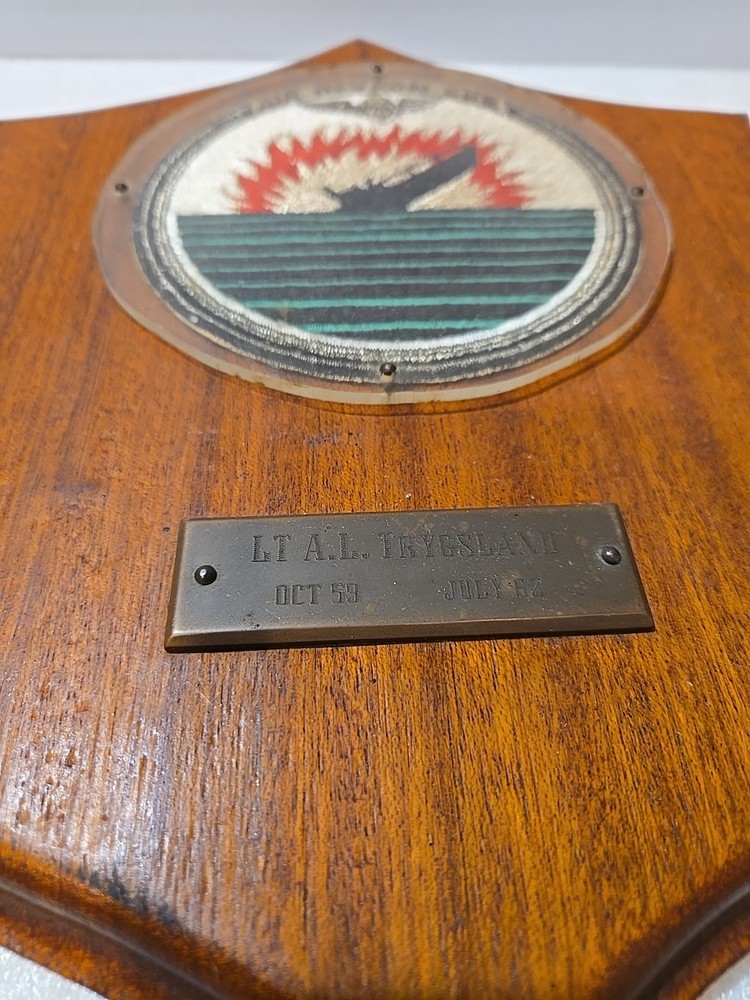 US Navy AIR DEVELOPMENT SQUADRON ONE AIR DEVRON PATCH ON 12" SERVICE PLAQUE 1962