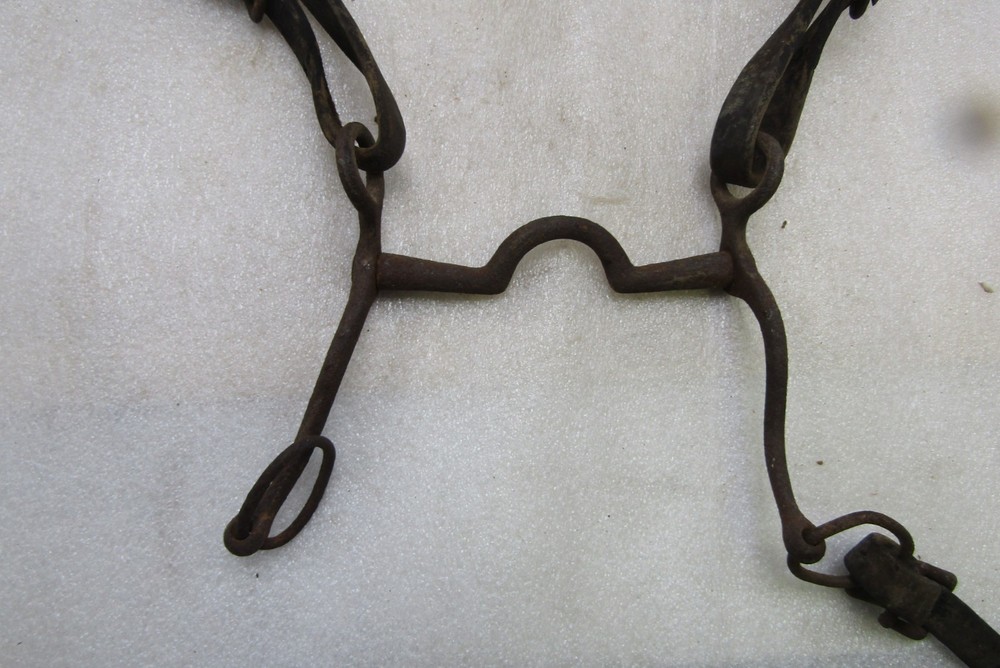 Celluloid harness spreaders & leather pieces