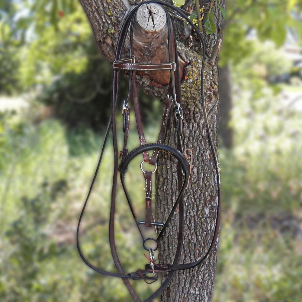 Rick Wheat Noavel Headstall Training Bitless Bosal Hackamore with Split Reins