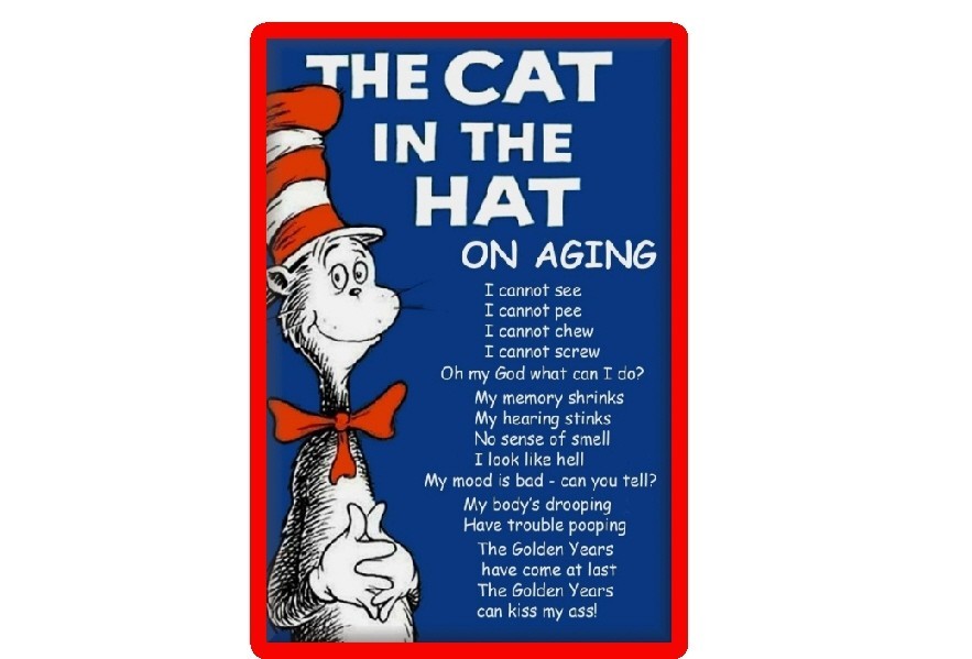 The Cat in the Hat Aging, Hilarious Man Cave/Refrigerator / Tool Box Magnet