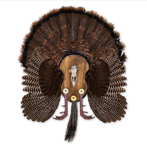 Ultimate Turkey Mounting Kit, Plaque, Beard, Fan, Universal (Model: MMR UTP)