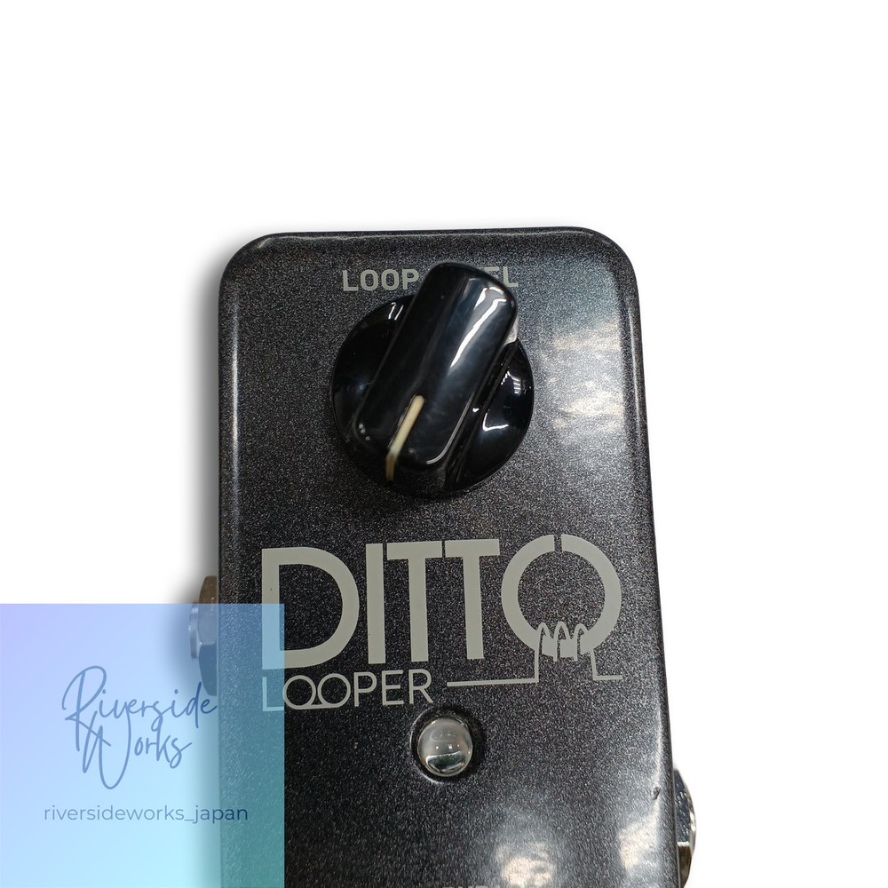 TC Electronic Ditto Looper Guitar Loop Pedal Used