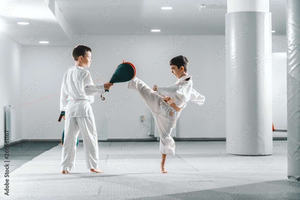 Kick Training Target, Motto. Taekwondo, Karate , Boxing…