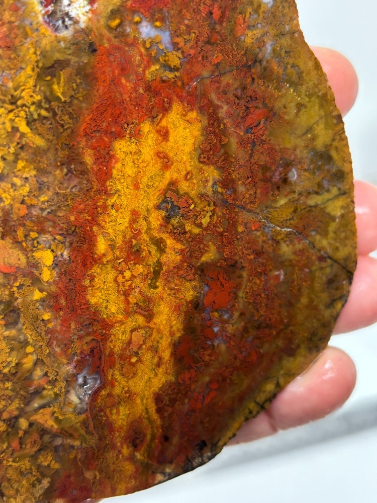 Thick Red/Yellow Moss Jasper Slab Cabbing Lapidary Combo Ship Avail