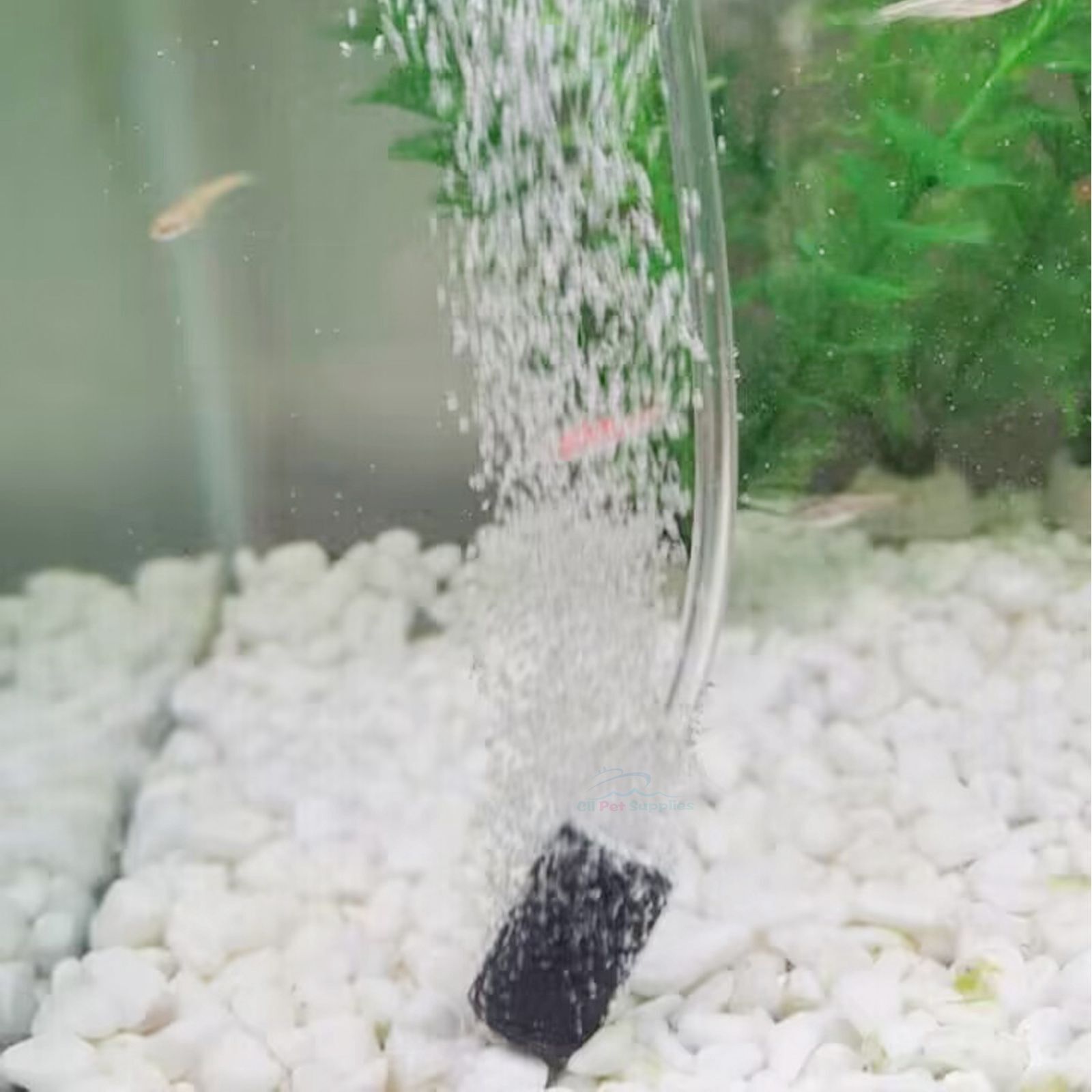 Aquarium Air Pump 20 Gallon Air Bubbler Small Air Pump with Airline Tubing Stone